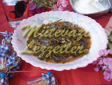 Ətli Kök Otu