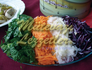 Qış Salatı