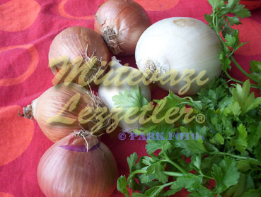 Beyin Salatı
