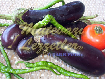 Beçə Bəykoz