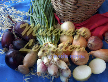Soğanlı Yumurta