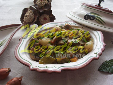 Zeytunyağlı Göbələk